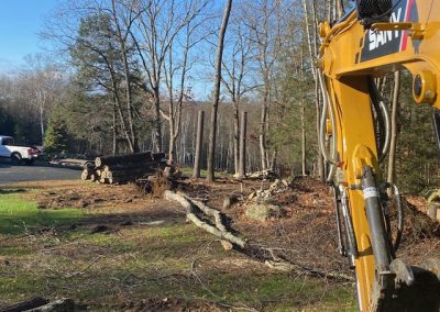 excavator and brush clearing and mulching